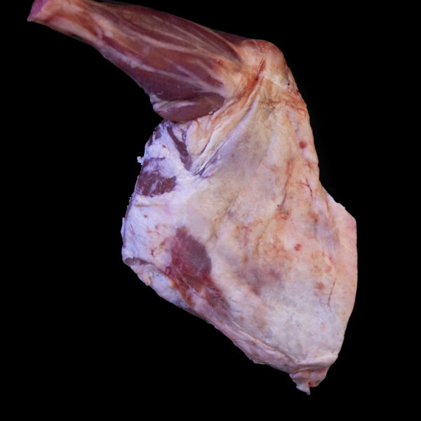 PALETA ENTERA